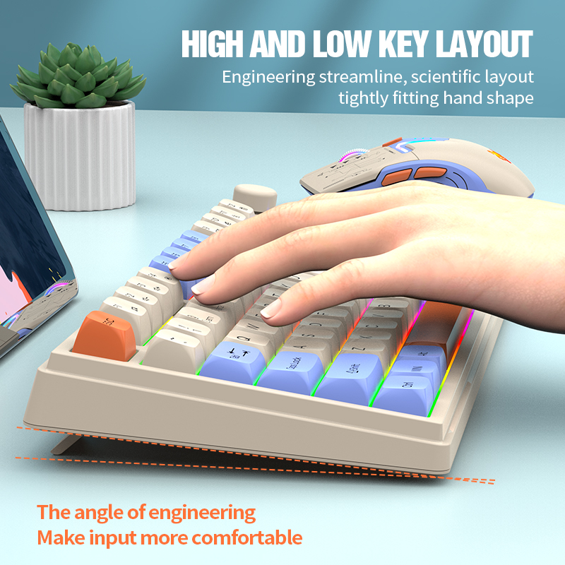 New Dual-Mode 80 Keys Wireless - Gaming Keyboard Ergonomic recensione e prezzo