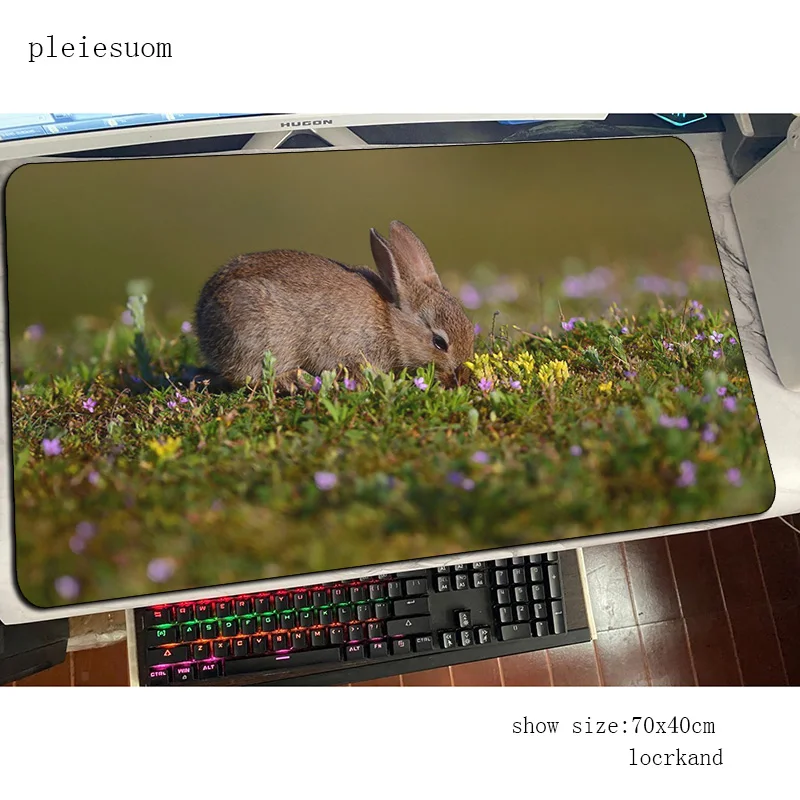 Rabbit cute mouse pad best mou - Gaming Keyboard Best recensione e prezzo